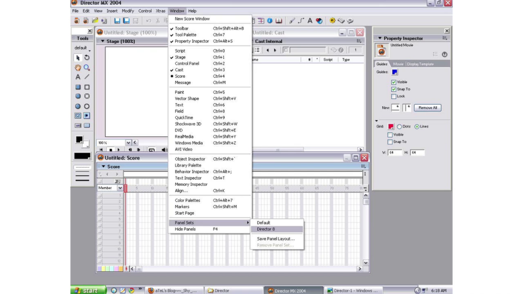 Screenshot of the interface for Macromedia Director MX 2004