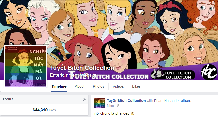 Header for the Tuyết Bitch Collection's Facebook page, July 2015