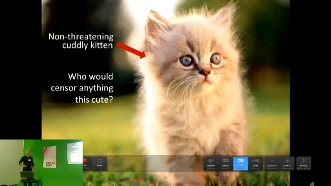 Photo of a kitten on a lawn, labeled "Non-threatening cuddly kitten. Who would censor anything this cute?"