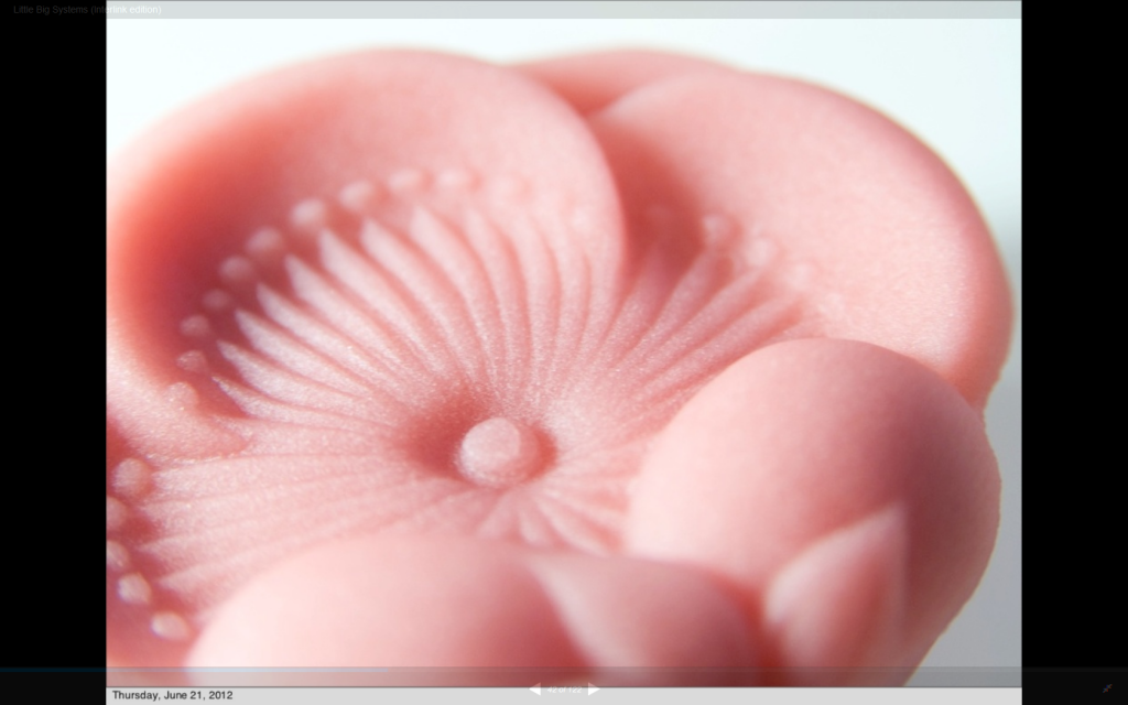 Close-up of a pink, flower-shaped wagashi