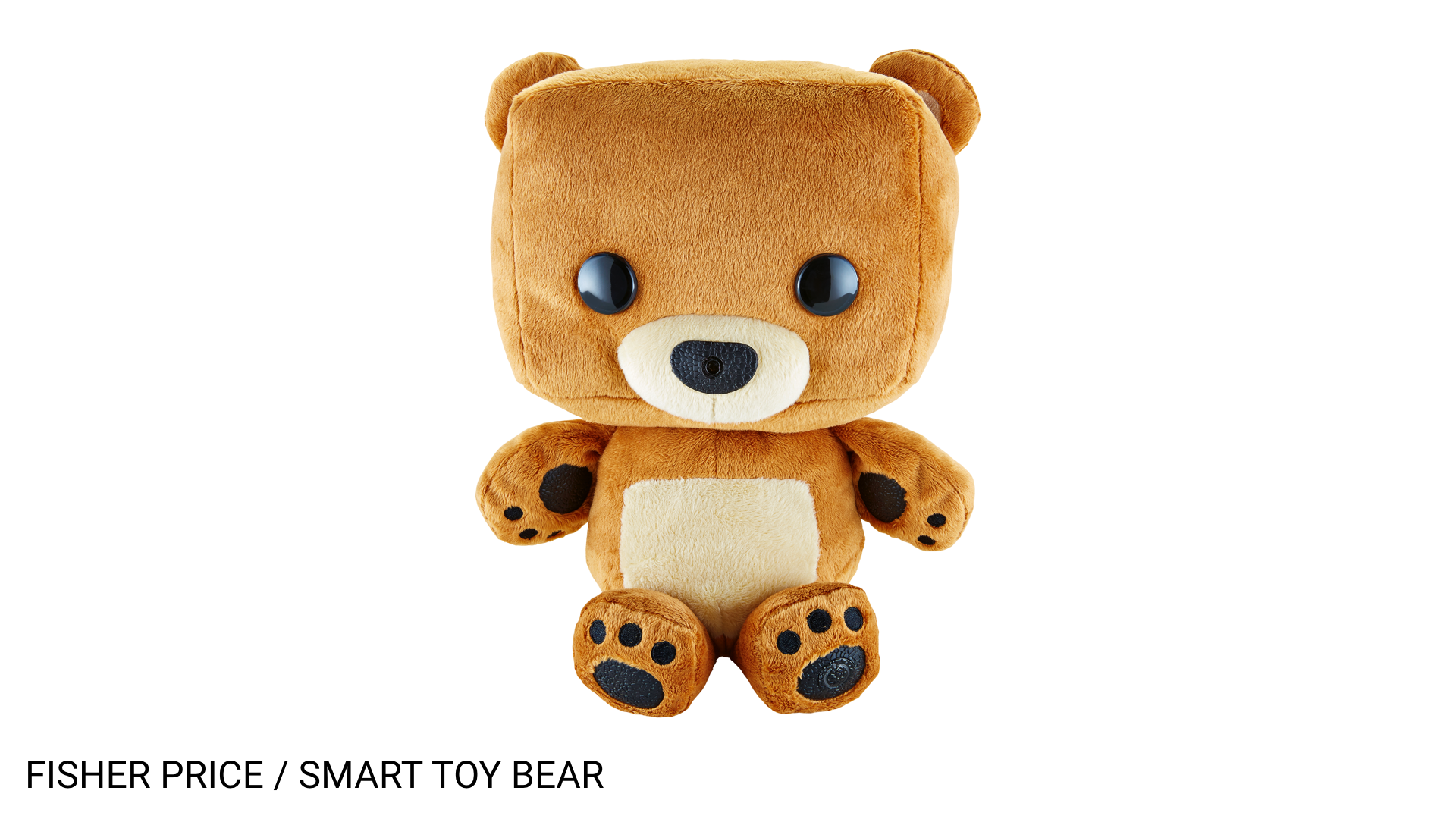 Photo of the Fisher Price Smart Toy Bear