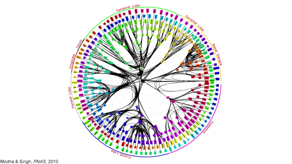 Graph showing the various major brain regions and a complicated web of individual connections to and from each of them to the various others.