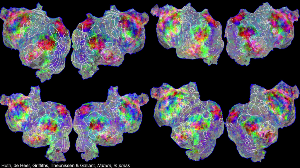 Several flattened brain map, with the same coloring as previous, showing similarities and differences across individuals.