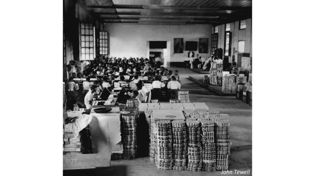 John Tewell, "The packing room in a large cigarette factory, boys and girls at work, Manila, Philippines, early 20th Century"