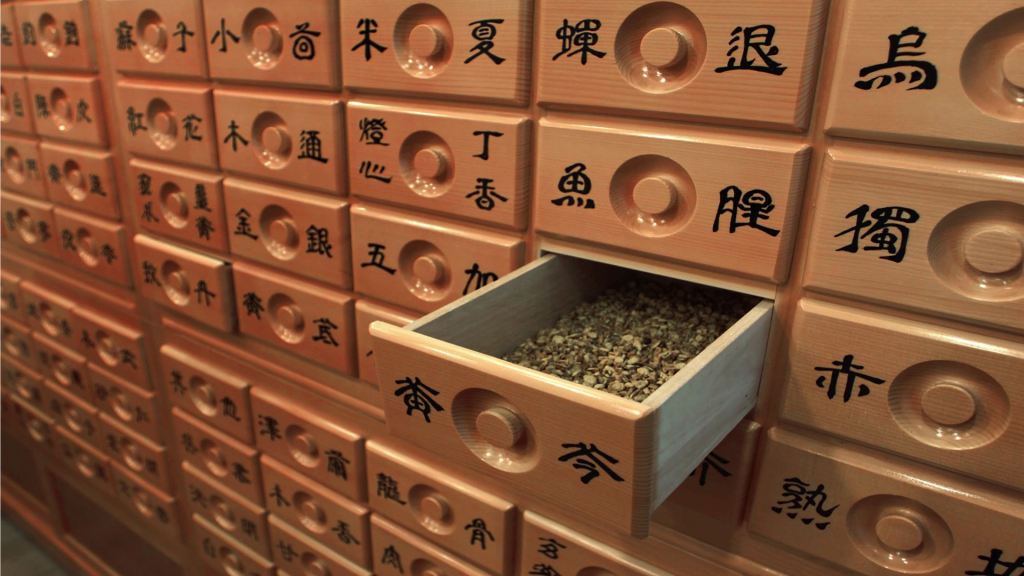 A wall-sized cabinet of small drawers; one is open showing it contains what appearto be small seeds