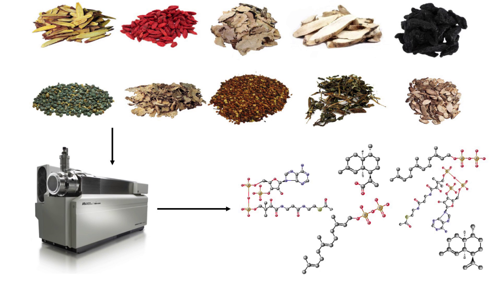 Several small piles of berries, seeds, barks, etc, with an arrow pointing at a piece of lab equipment, and another arrow leading from it to chemical molecule diagrams
