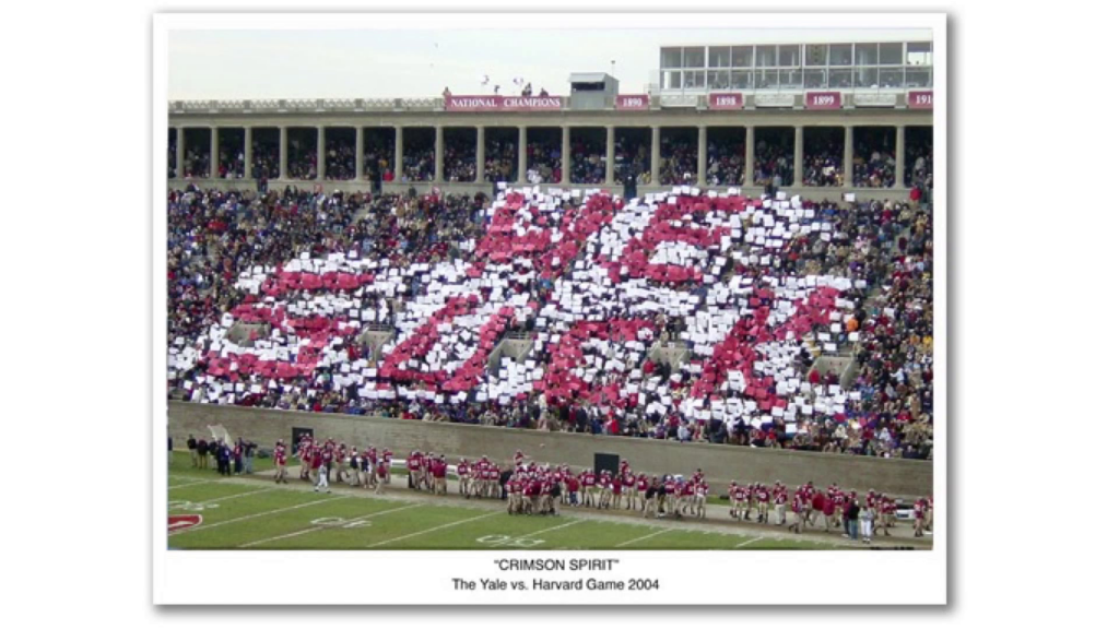 Photo of the audience on one side of a football field, holding up placards spelling out "We suck."