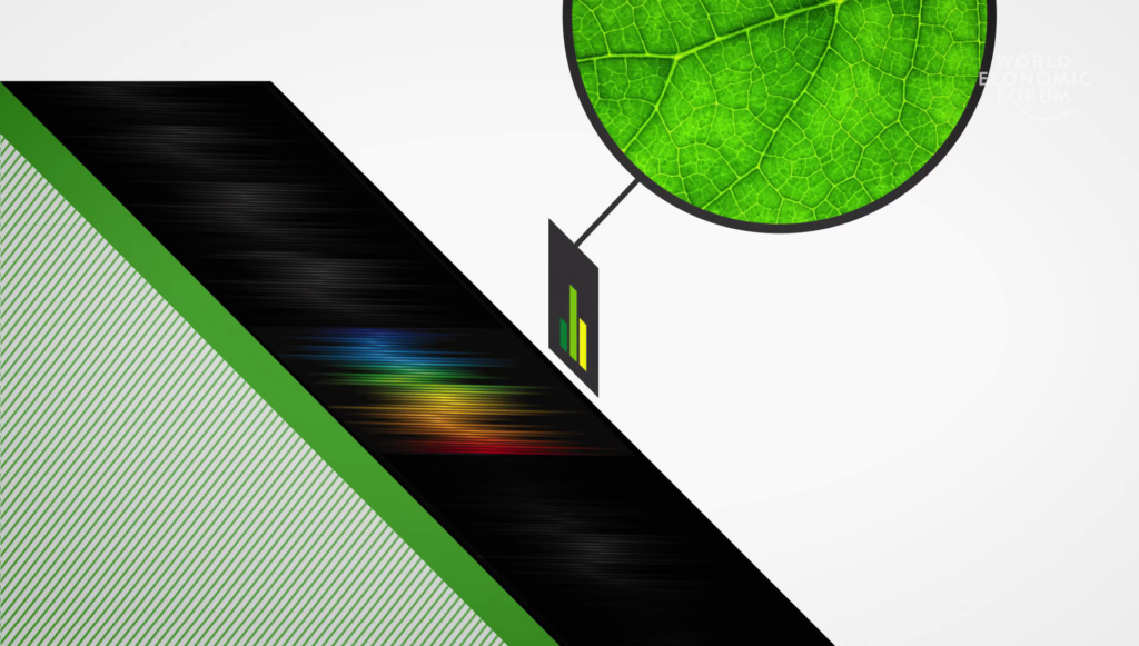 Closeup photo of a leaf, showing a graph of its signature in the electromagnetic spectrum