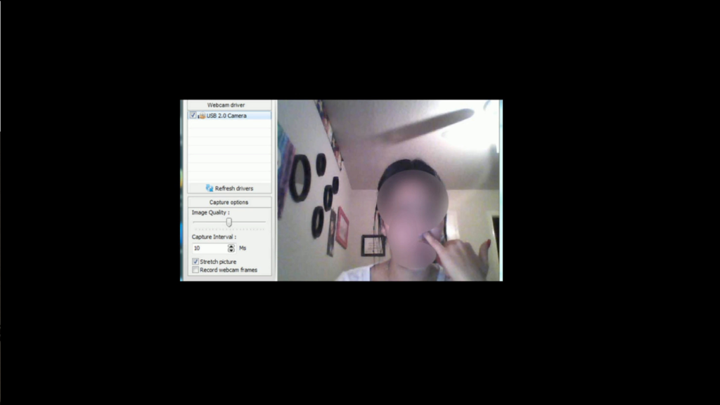 Screenshot of a webcam application, showing an image of the user with face blurred