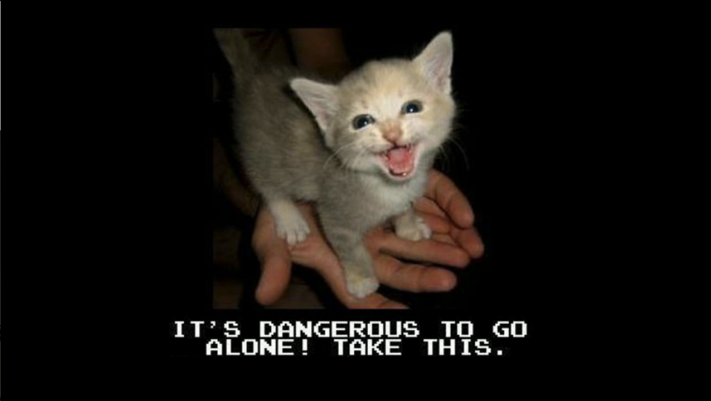 A kitten in the palm of someone's hand, captioned "It's dangerous to go alone! Take this."