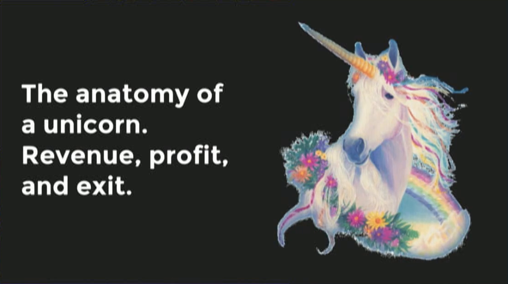 The anatomy of a unicorn. Revenue, profit, and exit.