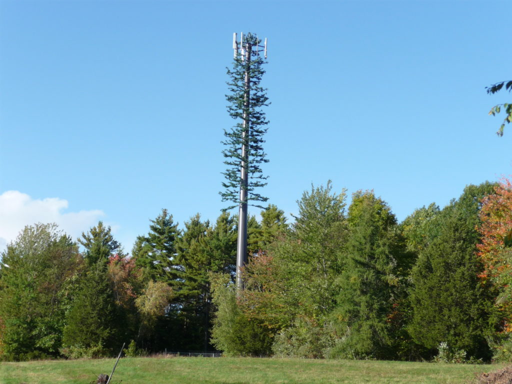 A large metal tower rising far above surrounding trees, lightly covered with artificial branches to as to look like a tree itself.