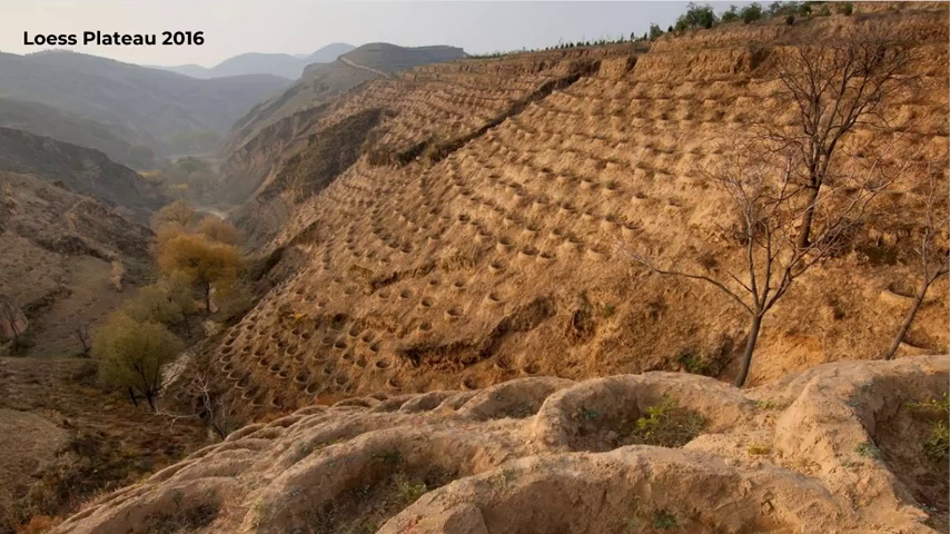 A wide, largely barren hillside, with many cup-shaped basins dug into it in rows for catching water runoff