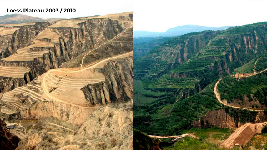 Contrasting 2003 and 2010 photos of an area in the Loess Plateau, showing it almost completely barren vs covered with greenery.