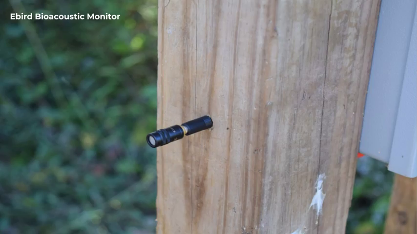 A small rod-shaped sensor about the size of a pocket flashlight sticking horizontally out of a wooden post.