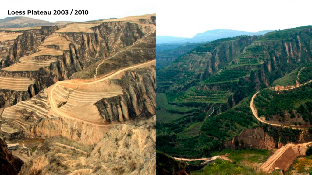 Contrasting 2003 and 2010 photos of an area in the Loess Plateau, showing it almost completely barren vs covered with greenery.